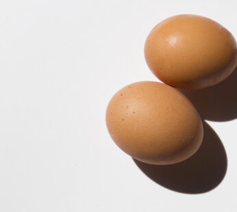 Brown Eggs